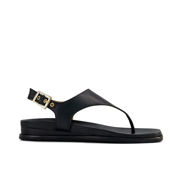 Concord Thong Sandal