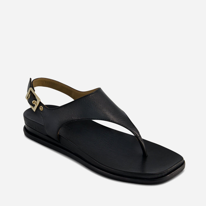 Concord Thong Sandal