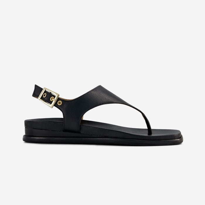 Concord Thong Sandal