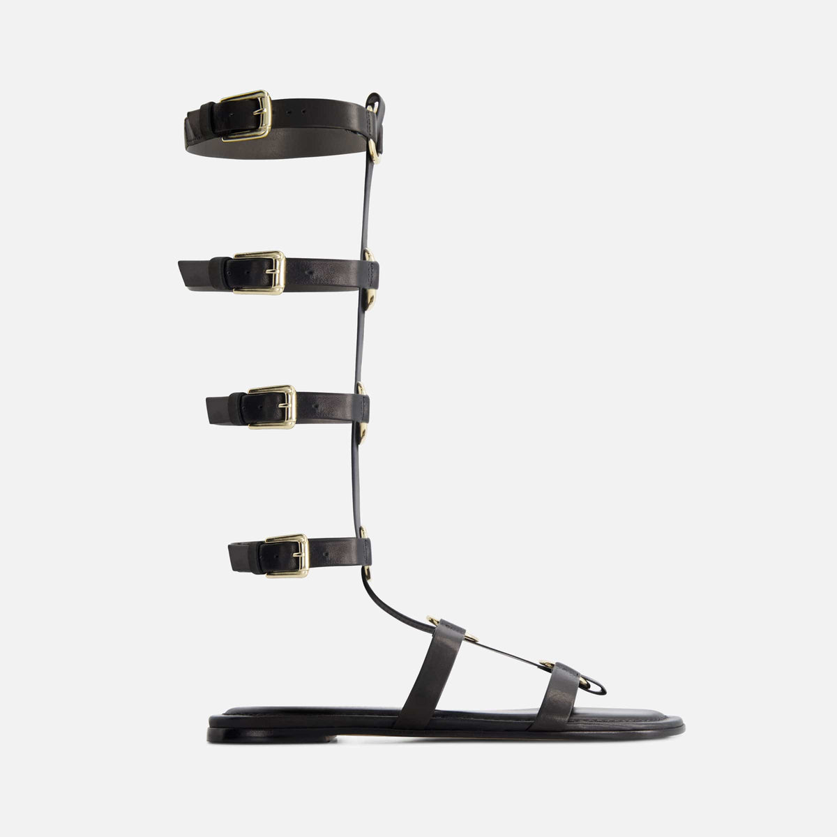 Hero Gladiator Sandal