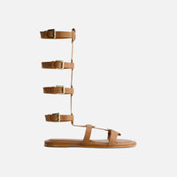 Hero Gladiator Sandal