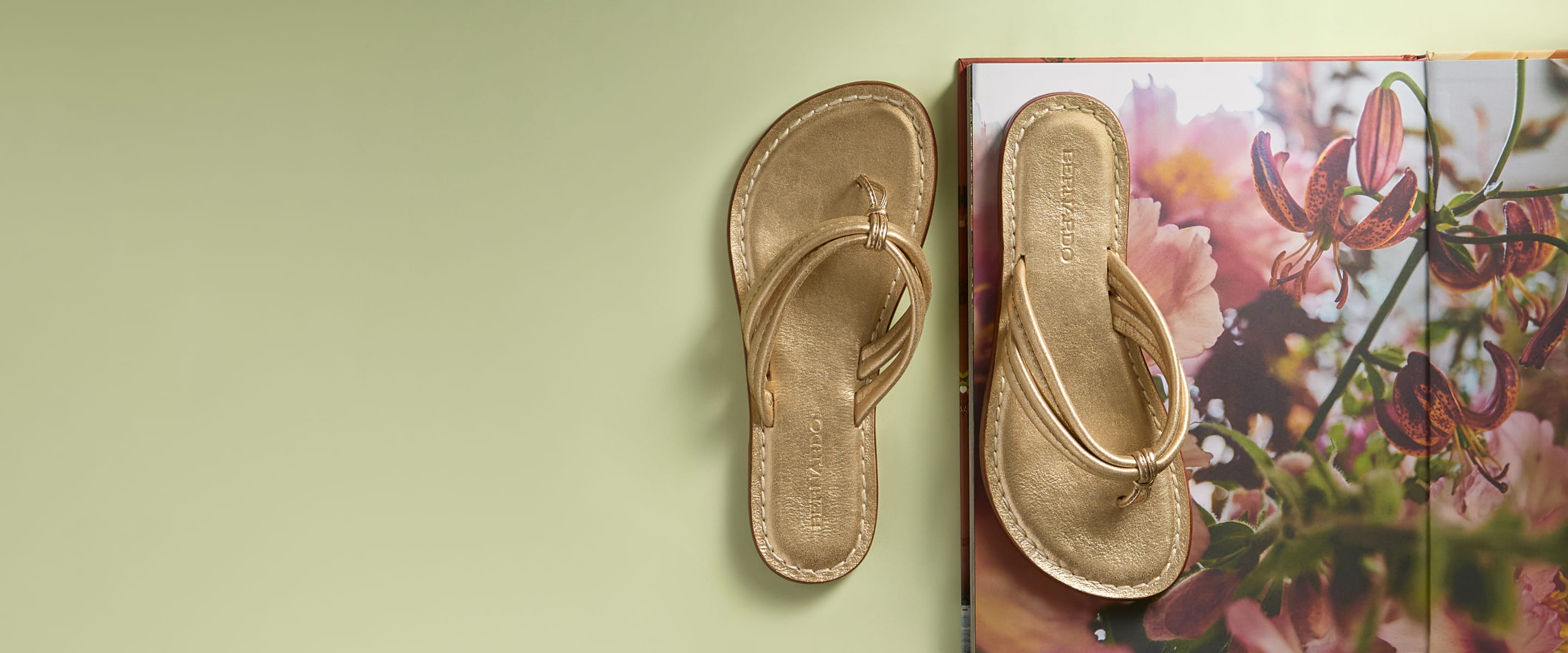 Gold flip-flops on a floral book against a green background