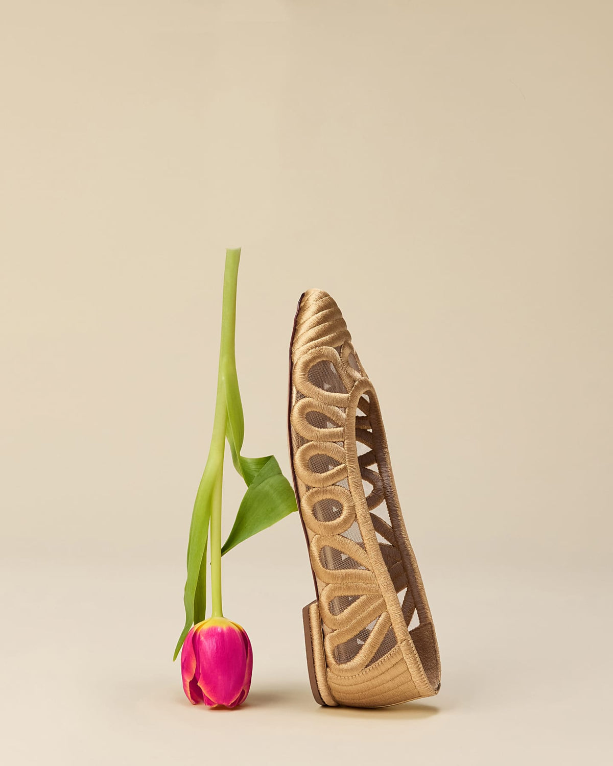 Brown sandal with cut-out design next to a pink tulip on a beige background
