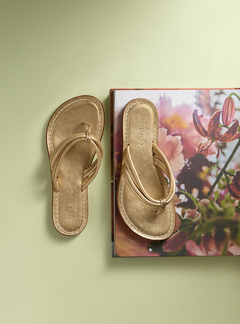 Gold flip-flops on a floral-patterned box against a light green background