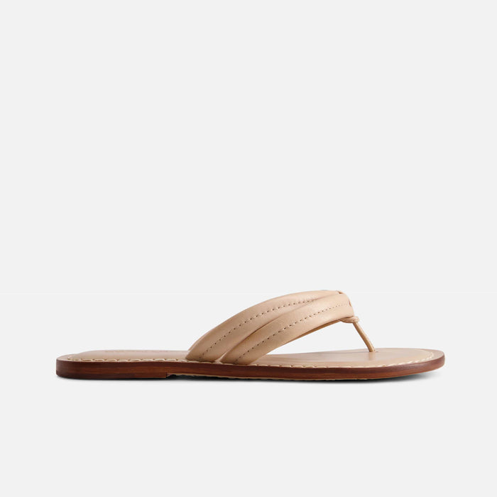 Bernardo Sandal Miami Thong Sandal