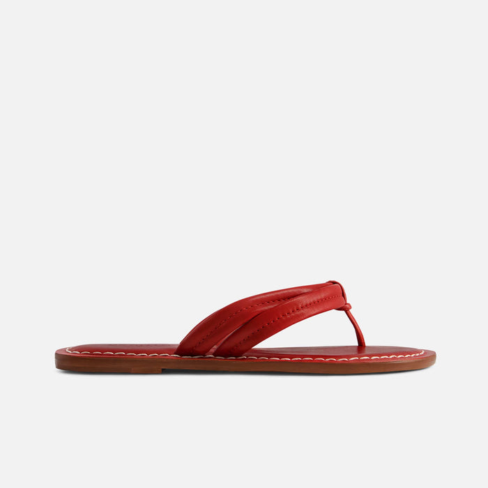 Bernardo SANDAL Miami Thong Sandal