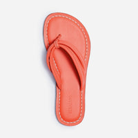 Miami Thong Sandal