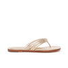 All Colors: Miami Thong Sandal